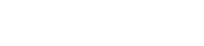 A főnök