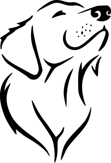 Kutya minta
