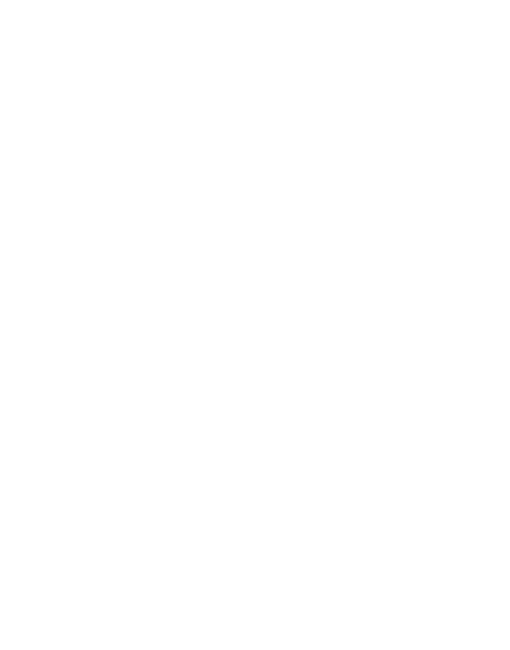Apa