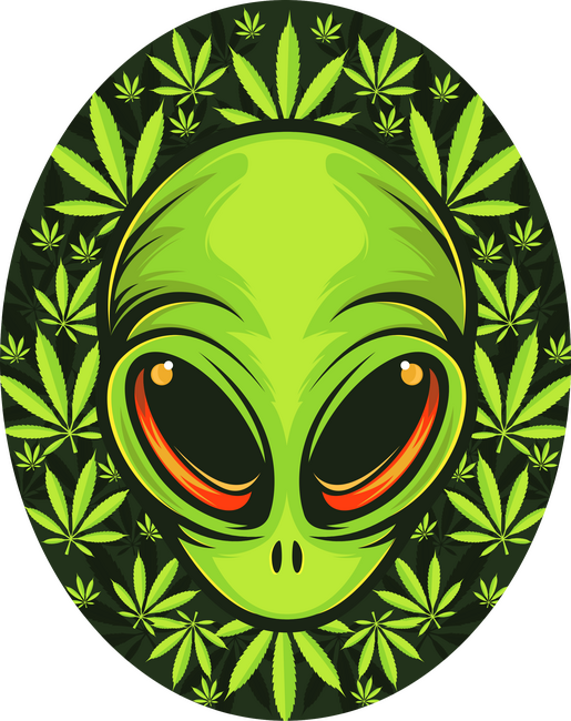 UFO weed