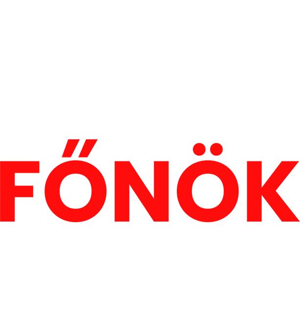 Én vagyok a főnök
