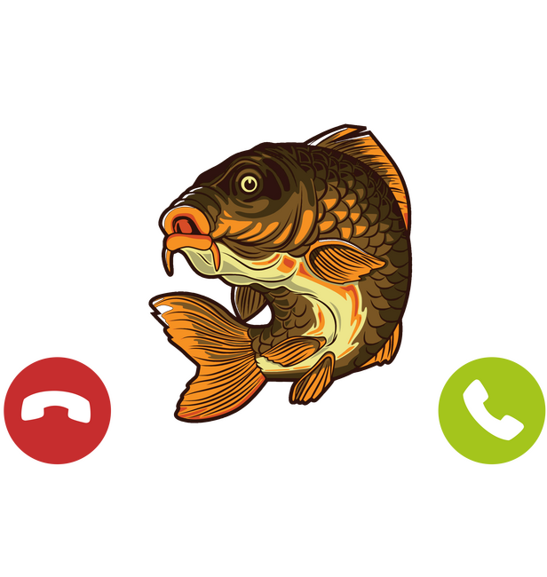 Hívnak a halak mennem kell