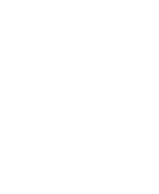 Én vagyok a főnök