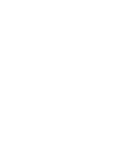 Bogrács király