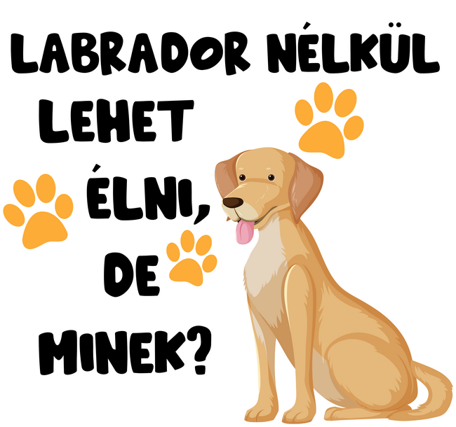 Labrador nélkül lehet élni, de minek?