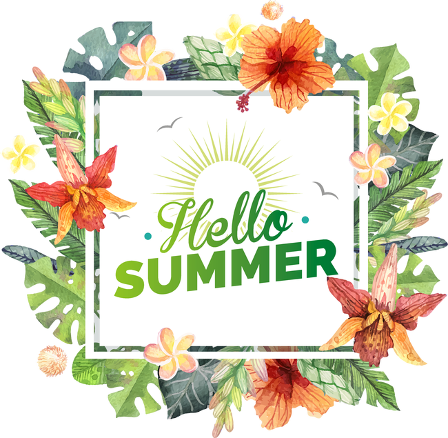 Hello summer