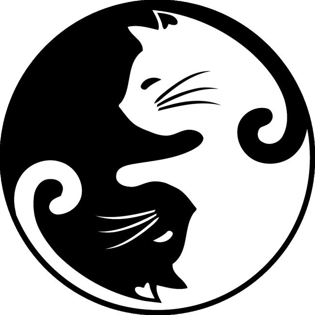 Macska Jin-jang