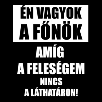 Én vagyok a főnök