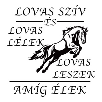 Lovas szív lovas lélek