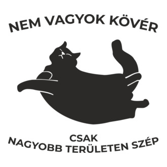 Nem vagyok kövér