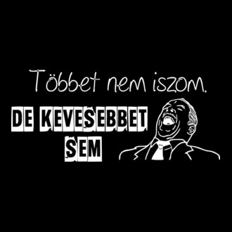 Többet nem iszom