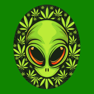 UFO weed